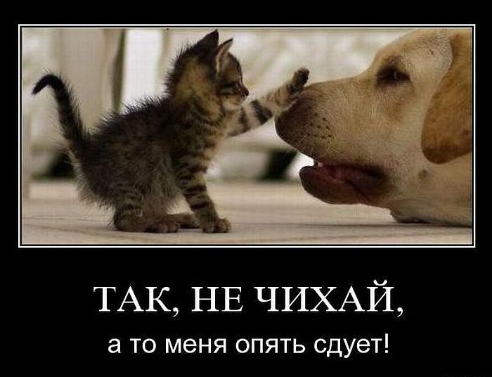 http://cs10223.vkontakte.ru/u12874593/134358554/y_521c7ede.jpg